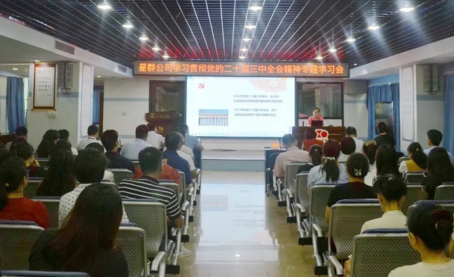 星群公司舉辦學習貫徹黨的二十屆三中全會精神專題學習會